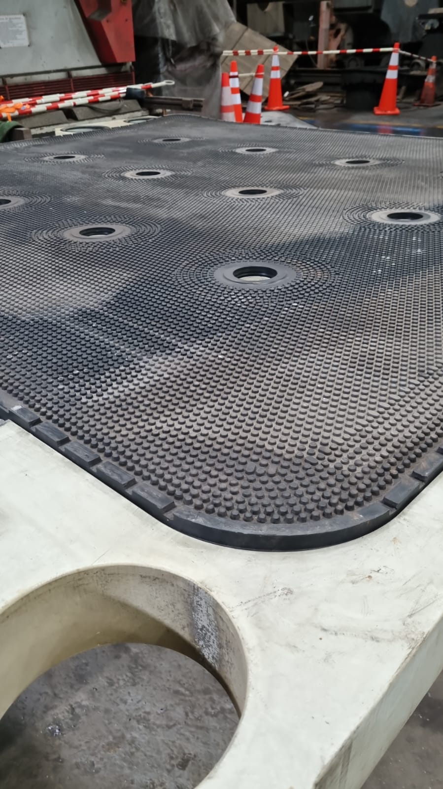 Placa Recuperada Después